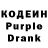 Codein Purple Drank Daniil Hori